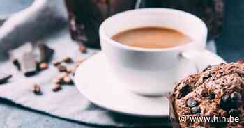 Gastgezin worden? Maak kennis met Oekraïense vluchtelingen | Assenede | hln.be - Het Laatste Nieuws