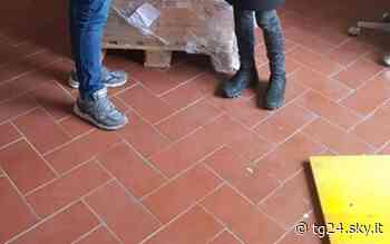 A Foligno aperto nuovo centro di raccolta aiuti Ucraina - Sky Tg24