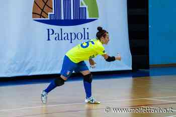 Femminile Molfetta, PalaPoli al 100% per il big match contro il Foligno - MolfettaViva