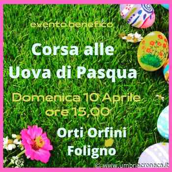 Caccia al tesoro pasquale per aiutare la Pediatria di Foligno - Il quotidiano che racconta l'Umbria - Umbria Cronaca