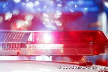 Oliver Paipoonge man charged following Cyber Crimes investigation - Tbnewswatch.com