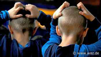 Lausige Zeiten für Parasiten: Weniger Kopfläuse in Witten - WAZ News