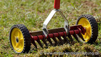 Wann ist die beste Zeit, um den Rasen zu vertikutieren?