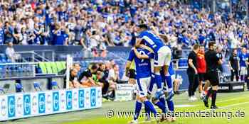 Voting beendet: DJK Stadtlohn darf auf Schalke spielen - Münsterland Zeitung