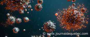 Un cas du nouveau variant détecté au Québec