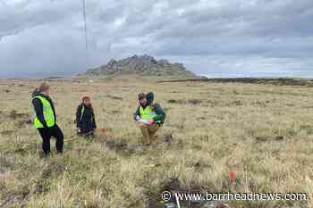 Falklands veterans back on islands to assist survey of battlefields - Barrhead News