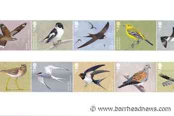 Royal Mail unveils new set of stamps showcasing migratory birds - Barrhead News