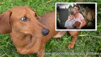 Voice of Real Australia: Finding a place for Jacob - Gloucester Advocate