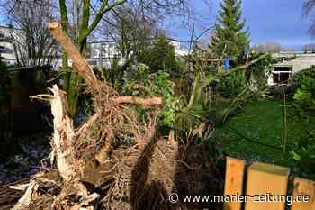 Wetterwarnung für Marl: Der Donnerstag wird stürmisch und nass - Marler Zeitung