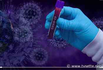 Gimbe. Benevento tra le province italiane con più casi di positività - TV Sette Benevento