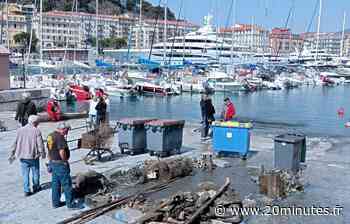 Nice : Deux tonnes de déchets ramassées en une matinée dans le port, sous les pointus - 20 Minutes