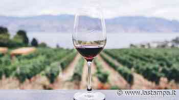 Acqui primo ente nella Strada dei sapori unito a Ovada e Casale da 730 km di docg - La Stampa