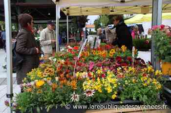 Serres-Castet : le marché de printemps aura lieu ce samedi 9 avril - La République des Pyrénées