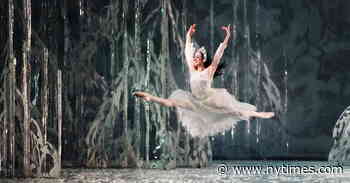 Nan Melville, 72, Whose Photography Captured Dance in Many Forms, Dies