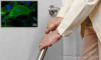 Scientists reverse ageing in human cells by 30 years