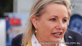 Ley defends PM pre-selection intervention - Western Advocate