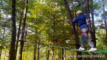 Riapre il Pettirosso, il weekend di Pasqua al Parco Avventura di Atripalda - AvellinoToday