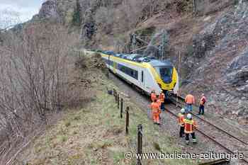 S-Bahn-Verkehr wegen Sturm unterbrochen - Zug am Hirschsprung evakuiert - Breisach - Badische Zeitung