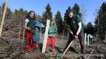 Leser lassen den Forst wieder wachsen - Gießener Allgemeine