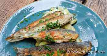 Sperrzeit: Gastwirte dürfen 15 Tage im Jahr länger öffnen - Forst - Rheinpfalz.de