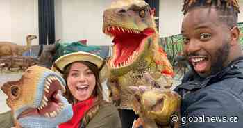 ‘Dinosaur trainers’ bring prehistoric creatures back to life for Calgary crowds