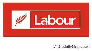 Labour Selects Afnan Al-Rubayee As Lambton Ward Candidate - thedailyblog.co.nz