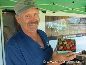 Point Edward exploring return of Moonlight Farmers' Market - Sarnia and Lambton County This Week