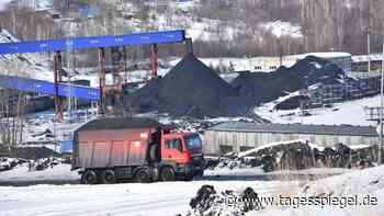 Kohle-Embargo kommt: EU-Staaten billigen neue Russland-Sanktionen - Wirtschaft - Tagesspiegel