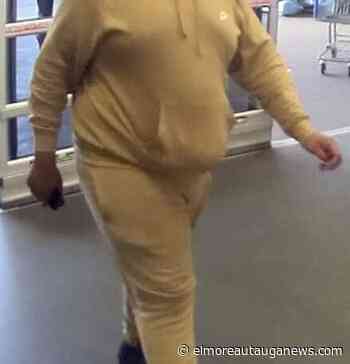 Millbrook Investigators Seek information on Suspects in Theft by Deception Scam - Elmore Autauga News