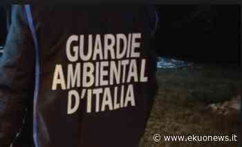 Alba Adriatica, Gadit: 18 verbali per conferimento scorretto di rifiuti - ekuonews.it