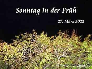 Noch war es dunkel ! - Lutherstadt Wittenberg - myheimat.de - myheimat.de