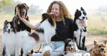 Experts issue warning over letting a dog lick your face - Grimsby Live