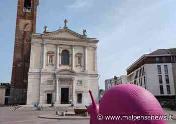 Sabato in piazza per Auser Gallarate - MalpensaNews.it