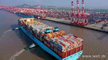 Trotz radikalem Lockdown – Wie der größte Hafen der Welt weiter funktioniert