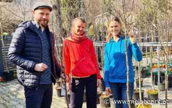 Klimaschutz: Obstbäume und Beerenstäucher für die Feldkirchner - Feldkirchen - meinbezirk.at