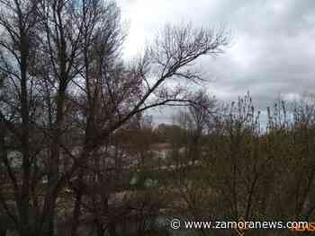 Tiempo en Zamora: temperaturas mínimas en ascenso y chubascos débiles en Sanabria - Zamora News