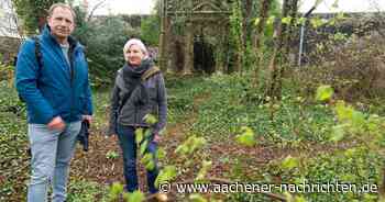 Grünflächen in der Innenstadt: Boxpark soll zum Vorzeigeprojekt für „urbane Wildnis“ werden