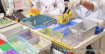 Corona im Märkischen Kreis: Mehr Normalität im Gesundheitsamt - www.lokalkompass.de