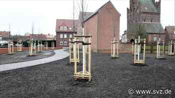 Sxhwammstadt Wittenberge: Wittenberge will mehr Niederschläge versickern lassen - svz – Schweriner Volkszeitung