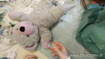 EN IMAGES - À l'hôpital des nounours, les enfants de Nancy apprennent à ne pas avoir peur du docteur - France Bleu