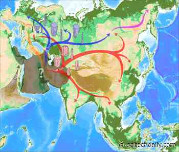 East Asian Lineages in Europe 45,000 Years Ago Explained by Population Hub Out of Africa