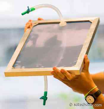 Solar Nanowire-Nanotube Purification Filter Offers Easy Access To Clean Drinking Water