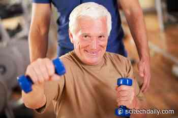 Chemical Compound Promotes Healthy Aging – Add Muscle, Strength and Energy While Losing Fat