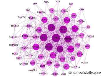 Plant Compound Shows Promise for Treating Food Allergies