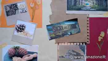 [OCCQN]Classe III F comprensivo Niccolò Pisano di Marina di Pisa, succursale Castagnolo di San Piero a Grado - LA NAZIONE