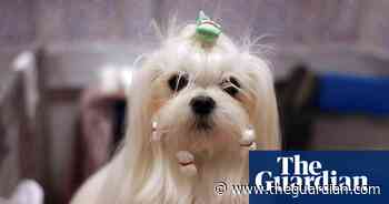 Visual Noise: Rankin’s photography fair spotlights new talent – in pictures