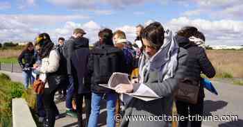 Frontignan - Concours départemental « Habiter le littoral demain » : Les candidats ont visité le quartier des Hierles - OCCITANIE tribune