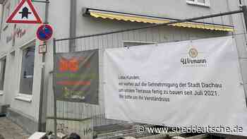 Dachauer Baum-Streit beendet: Stadt und Hauseigentümer einigen sich - Süddeutsche Zeitung - SZ.de