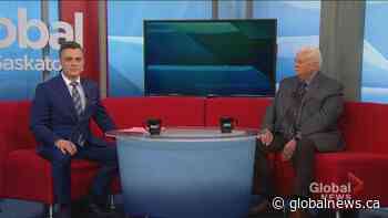 The role of the chief firearms officer in Saskatchewan - Global News