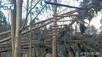 Ersatz-Areal für neuen Kletterwald in Bad Tabarz gefunden - Thüringische Landeszeitung